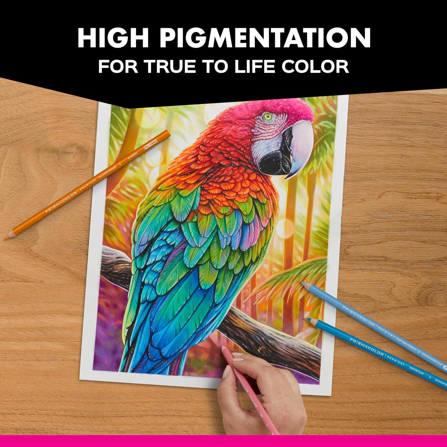 imagePrismacolor Technique Animal Drawing Set Includes Colored Pencils and StepbyStep Drawing Tutorials Assorted Colors 12 CountNEW Night Sky