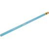 Prismacolor Col-Erase Erasable Colored Pencil, 12-Count, Blue (20044)(Non-Photo Blue)