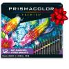 Prismacolor Premier Double-Ended Art Markers Fine And Chisel Tip Manga Colors Adult Coloring 12 Pack(Hyper Brights)